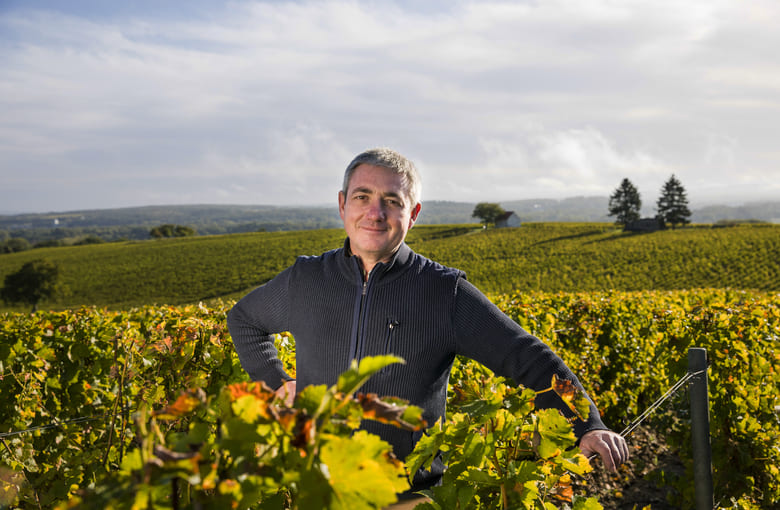 visit French vineyards
